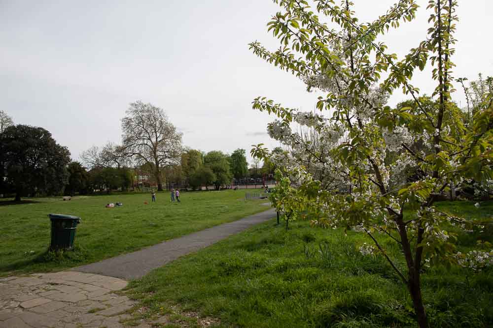 Agnes Riley Gardens